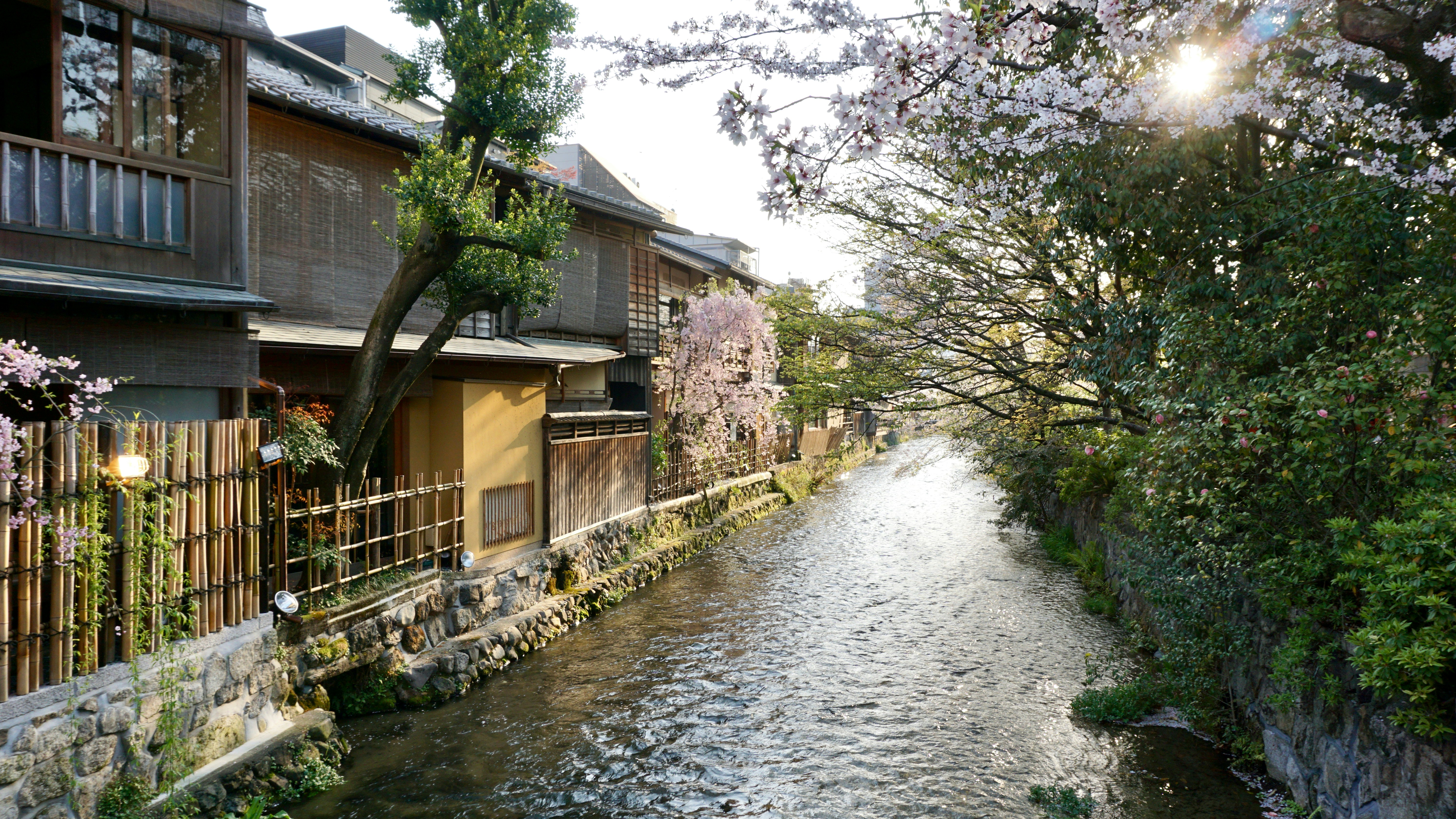 Spring in Kyoto