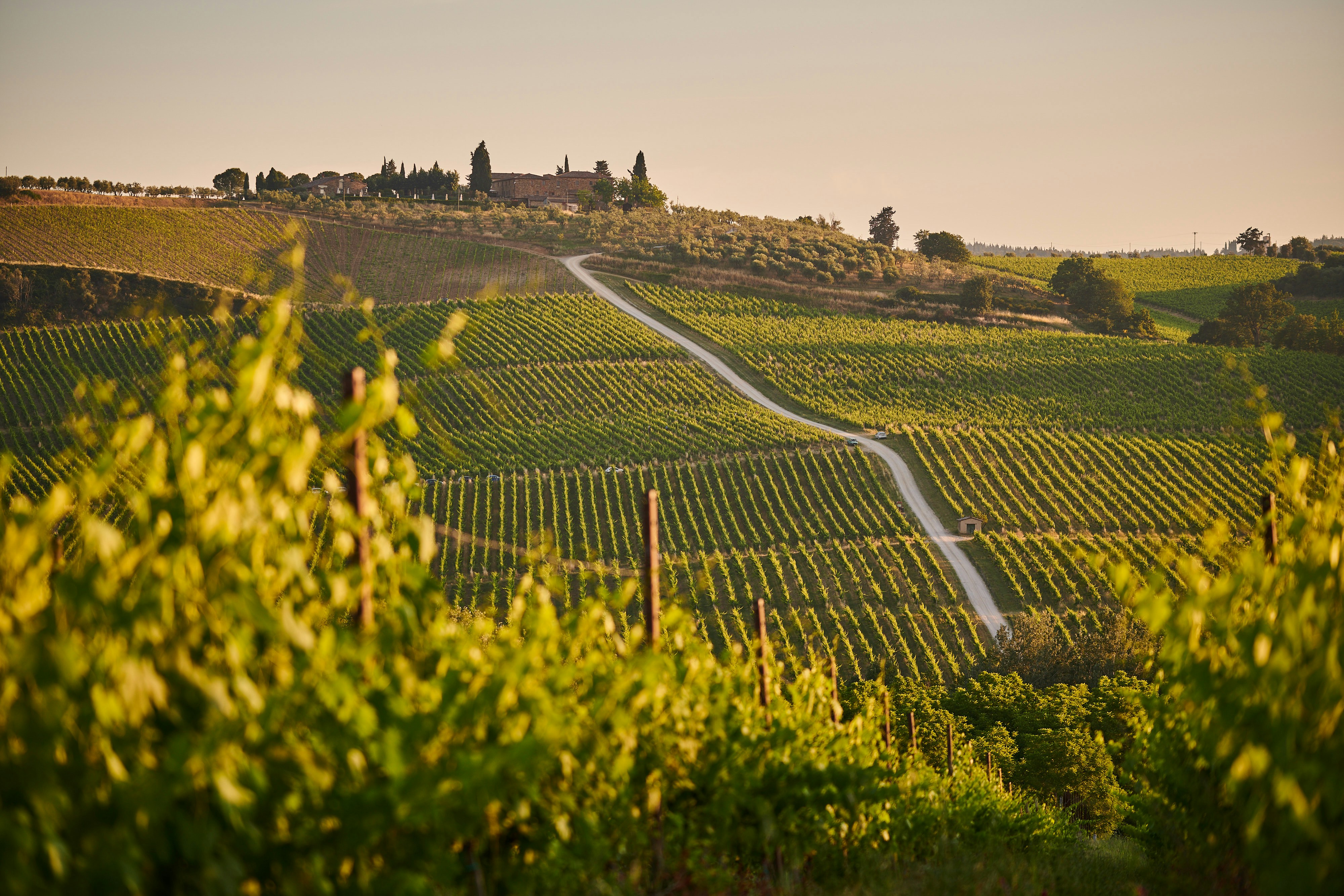 Countryside of Italy